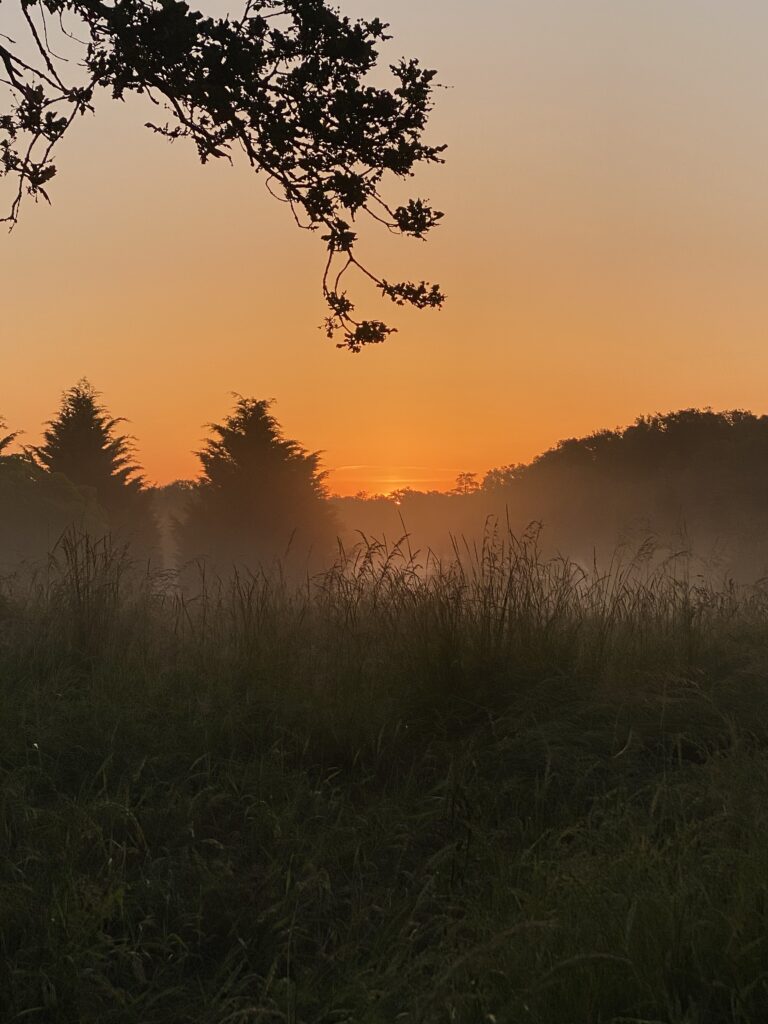 Film & Photography at Forge in France — peaceful estate in the Vienne