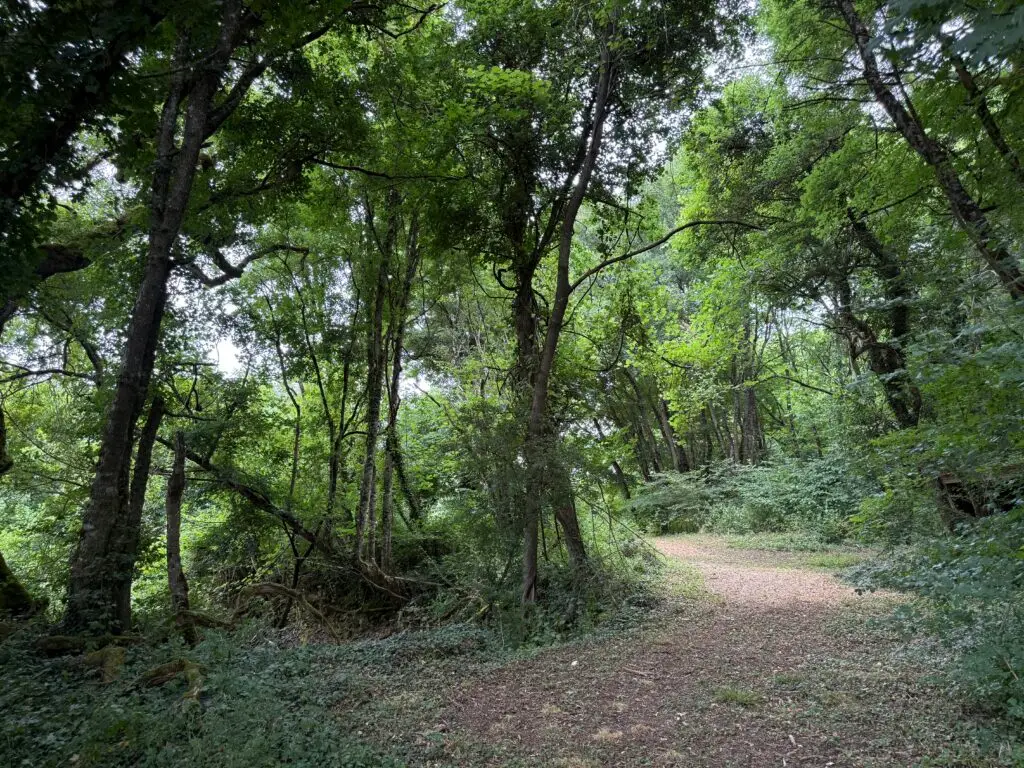 Forge in France - Woods