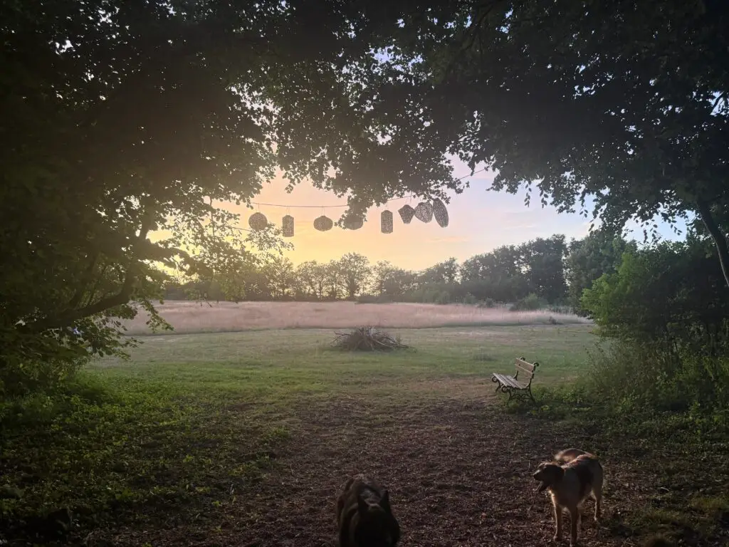 Forge in France - String of lanterns