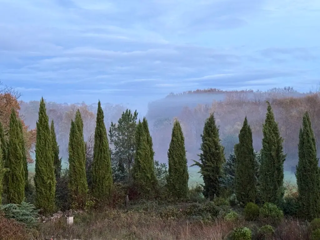 Forge in France - Misty view