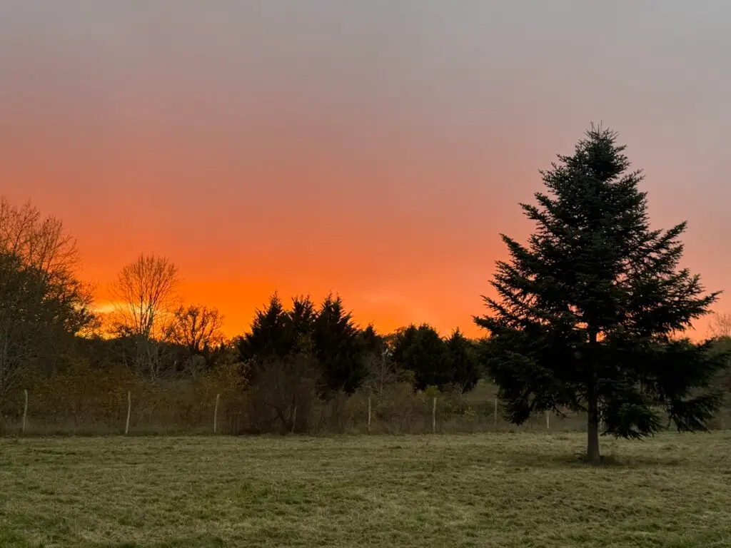 Forge in France -Sunset