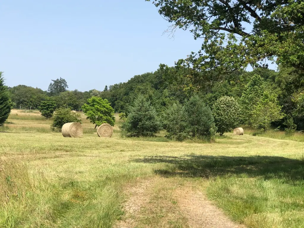 Forge in France -hay bales