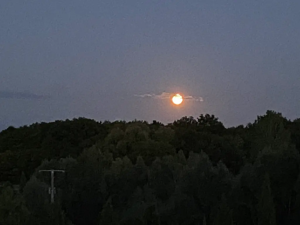 Forge in France - Full moon 7