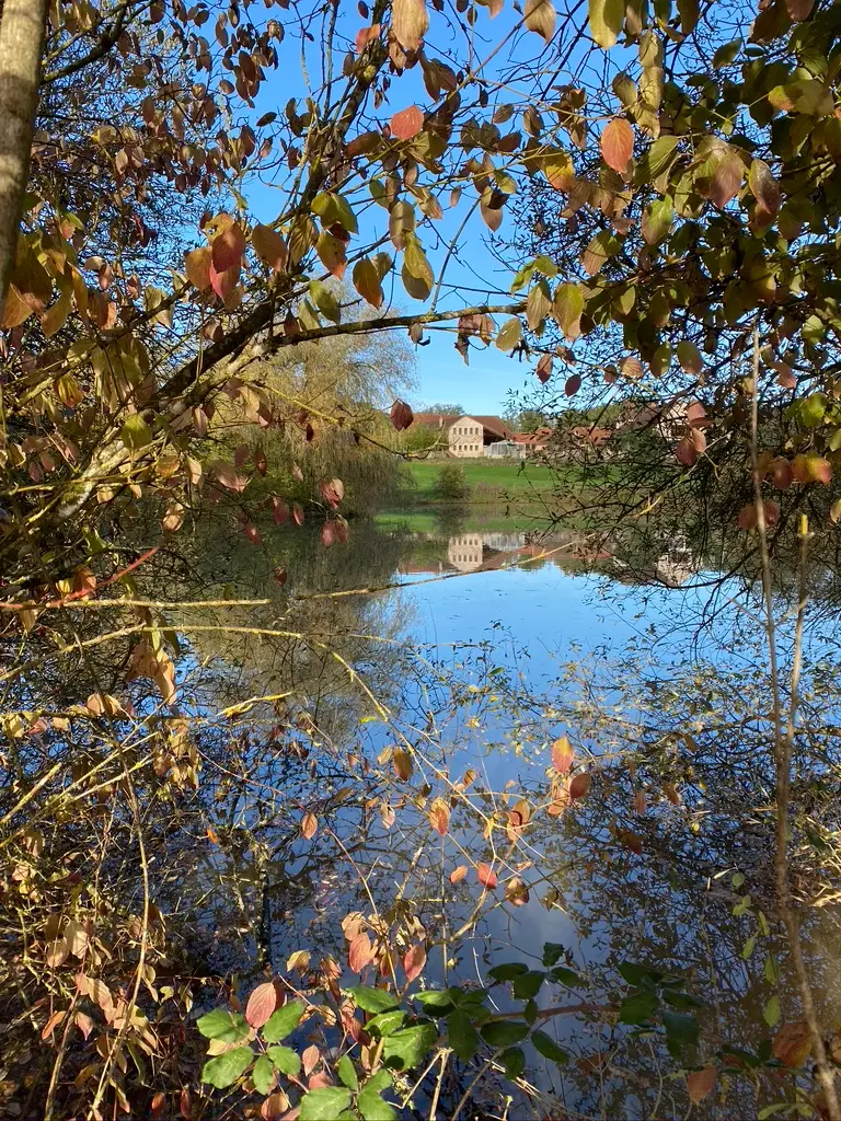 Forge in France - view over the lake