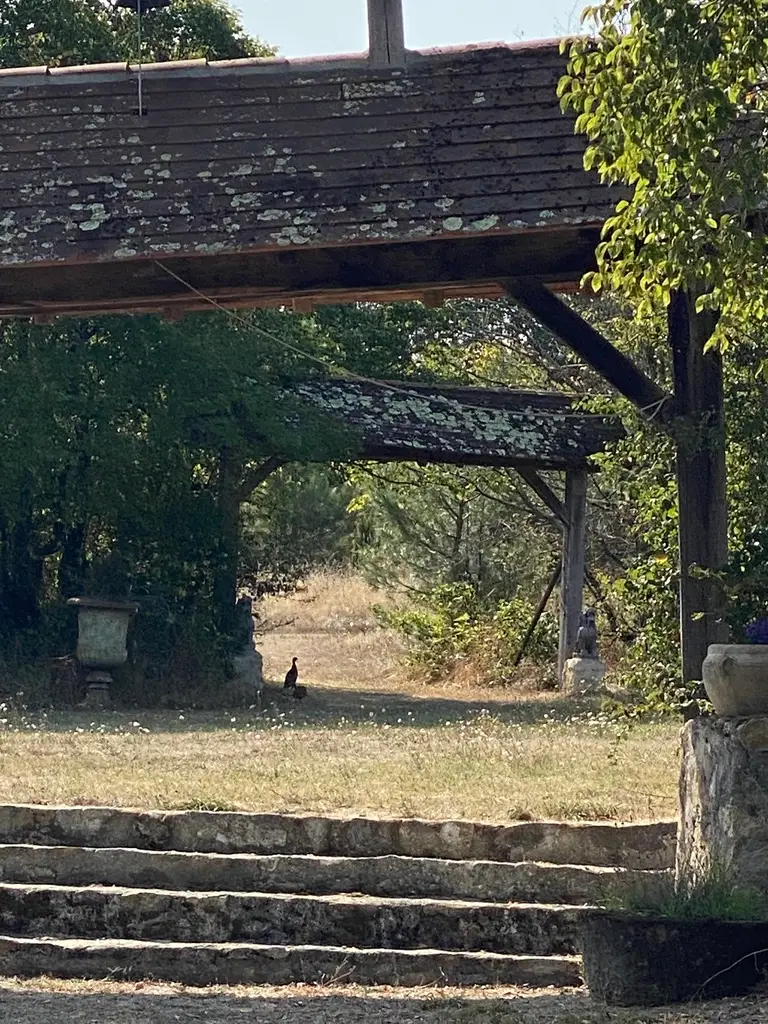 Walking in Nature at Forge in France private estate