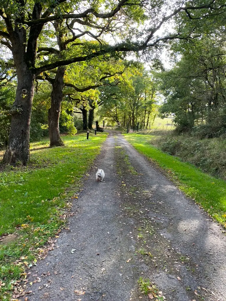 Forge in France - Front drive