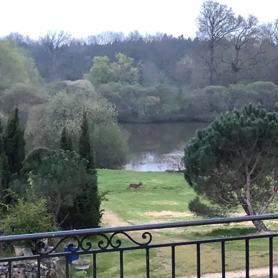 Forge in France rates — private estate exterior showing deer